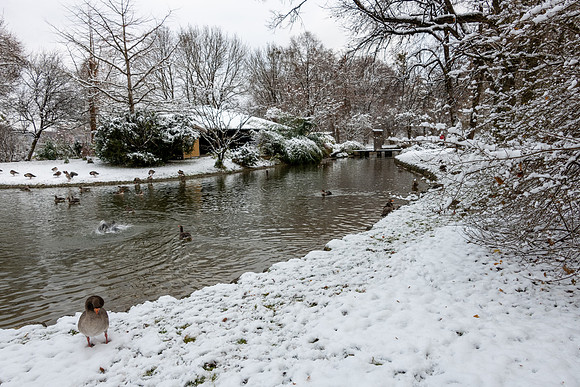 Munich English Garden -3