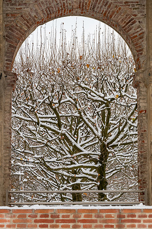 Munich Hofgarten -7