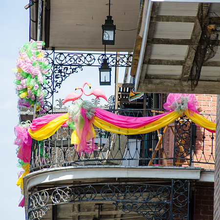 After Mardi Gras-3