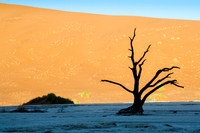 Sossusvlei -Dead Vlei - 1