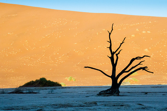Sossusvlei -Dead Vlei - 1