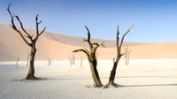 Sossusvlei -Dead Vlei - 6