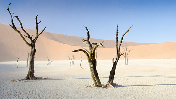 Sossusvlei -Dead Vlei - 6
