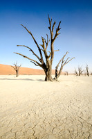 Sossusvlei -Dead Vlei - 4