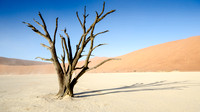 Sossusvlei -Dead Vlei - 5
