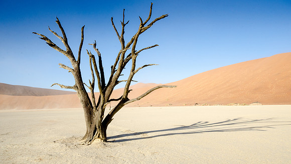 Sossusvlei -Dead Vlei - 5
