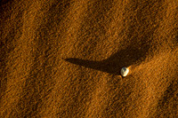 Sossusvlei -Shell in the Sand