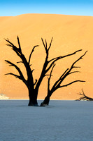 Sossusvlei -Dead Vlei - 2