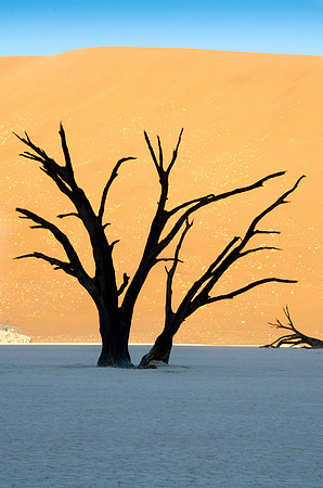 Sossusvlei -Dead Vlei - 2