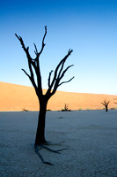 Sossusvlei -Dead Vlei - 3