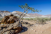 Namib Nauklauft National Park - 2
