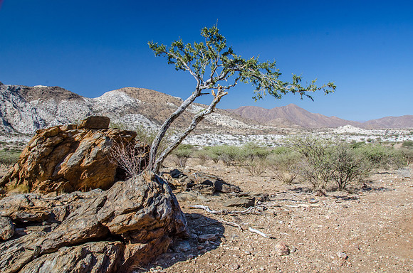 Namib Nauklauft National Park - 2