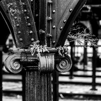 Abandoned Rail Terminal at Liberty State Park -7