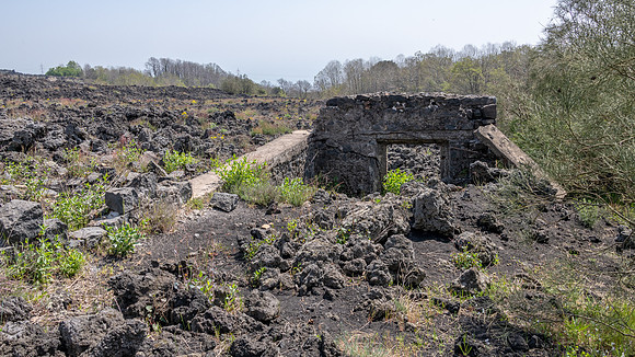 Lava Field -2