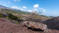 Mount Etna View -4