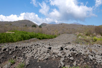 Lava Field -1