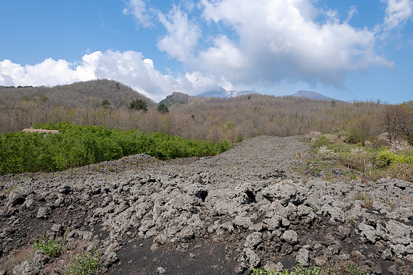 Lava Field -1