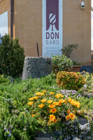 Don Saro Vinyard -1