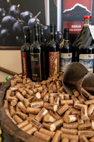 Don Saro Vinyard -3