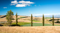 Canterbury Plains View -2