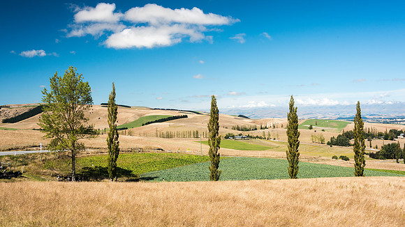 Canterbury Plains View -2