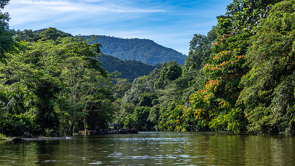 Melinau River -2