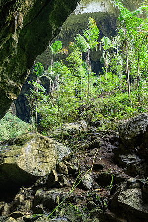 Deer Cave Entrance