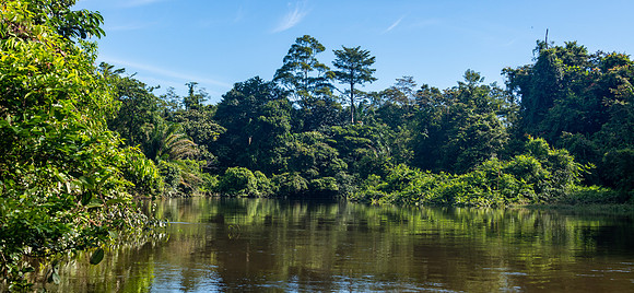 Melinau River -4