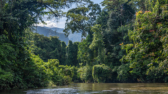 Melinau River -7