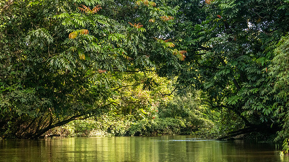 Melinau River -6