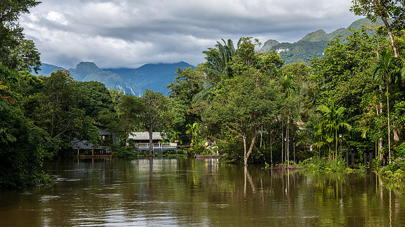 Melinau River Mulu