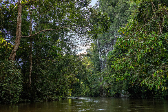 Melinau River -8