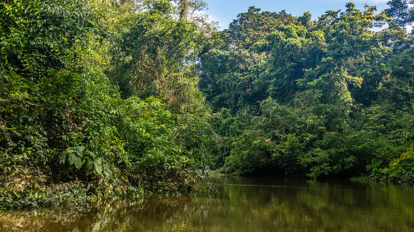 Melinau River -5