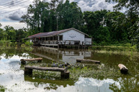 Mulu Homestay
