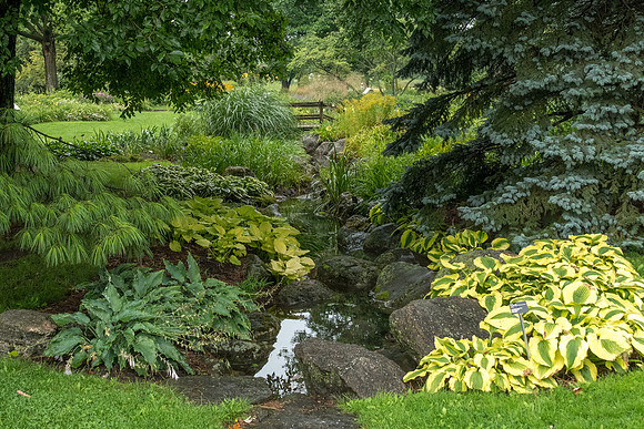 Botanical Gardens -4