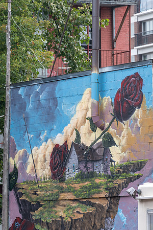 Street Art -5