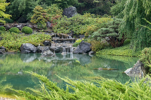 Botanical Gardens - Japanese Garden -4