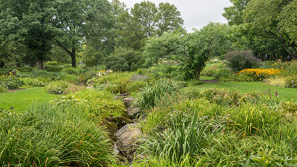 Botanical Gardens -2