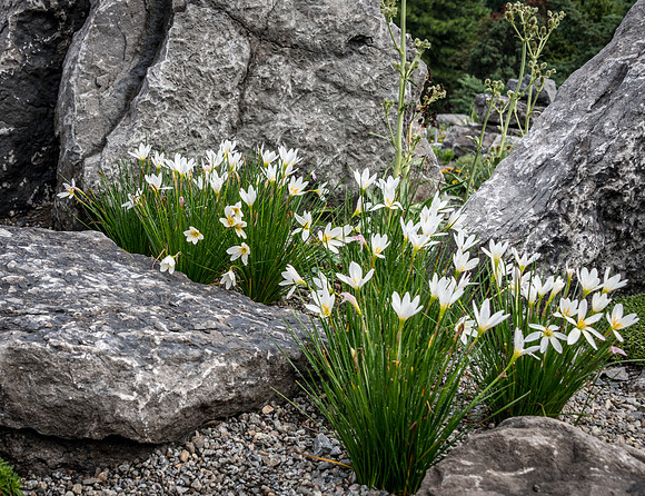 Botanical Gardens -6