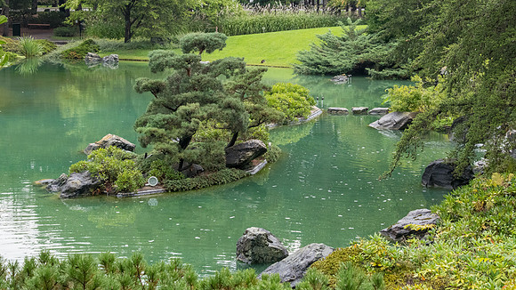 Botanical Gardens - Japanese Garden -5