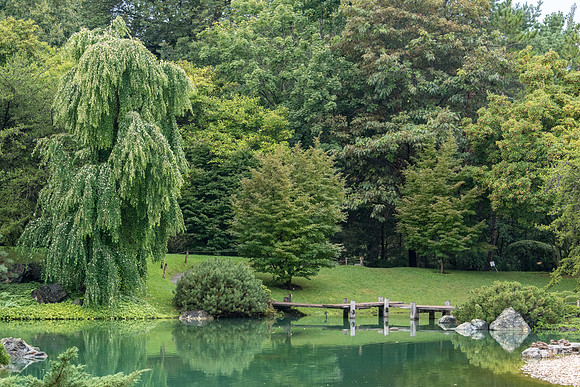 Botanical Gardens - Japanese Garden -1