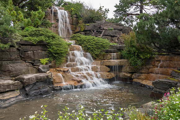 Botanical Gardens -5