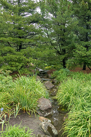 Botanical Gardens -3