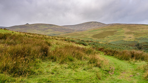 Linhope Moor -3