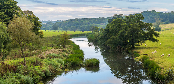 Alnwick Castle Estate -2