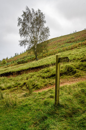 To Linhope