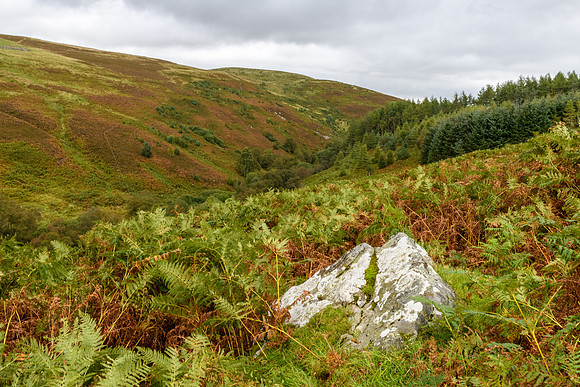 Linhope Moor -2