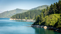 Queen Charlotte Sound -7