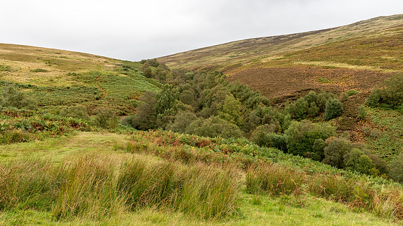 Linhope Moor -1