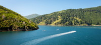 Queen Charlotte Sound -9
